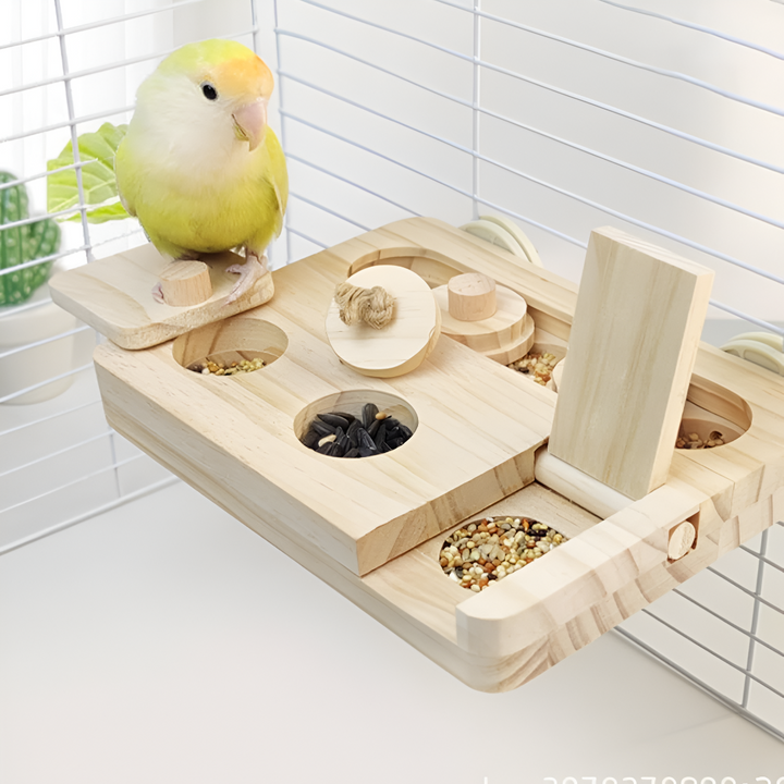 Small Pets, Birds, and Aquatic Companions