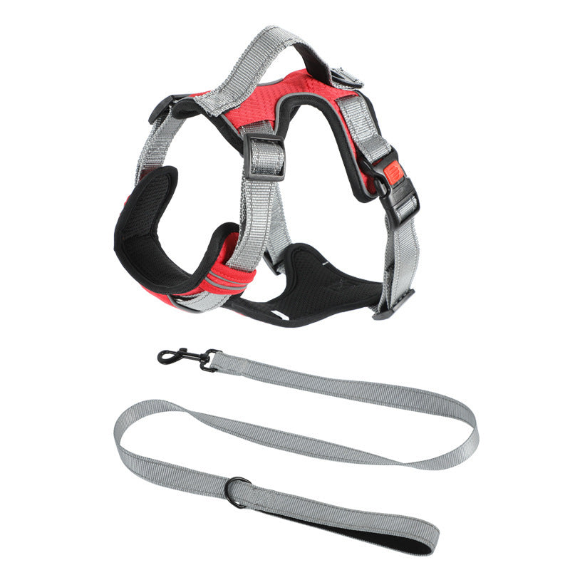 Dog Hand Holding Rope Vest Dog