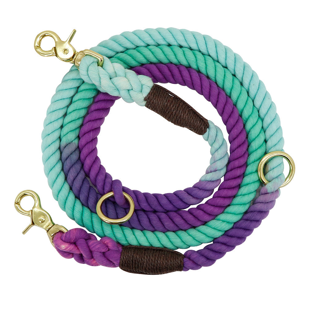 Gradient Color Dog Accessories Leashes