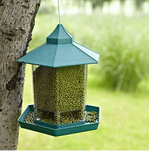 Transform Your Balcony with the Ultimate Bird Feeder