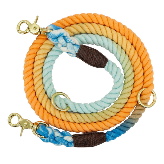 Transform Your Walks with the Gradient Color Dog Accessories Leashes