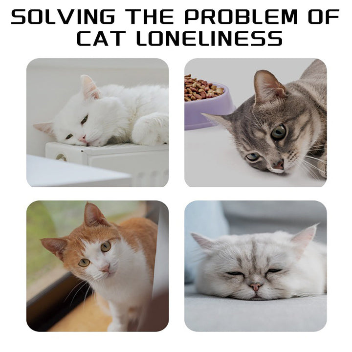 Unleash the Fun: Discover the Benefits of Our Dog Rope Toys Knots Chew Rope Toy