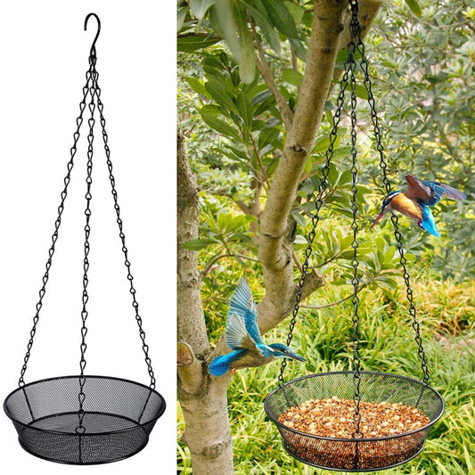 Experience Nature with the Hanging Disc Bird Feeder