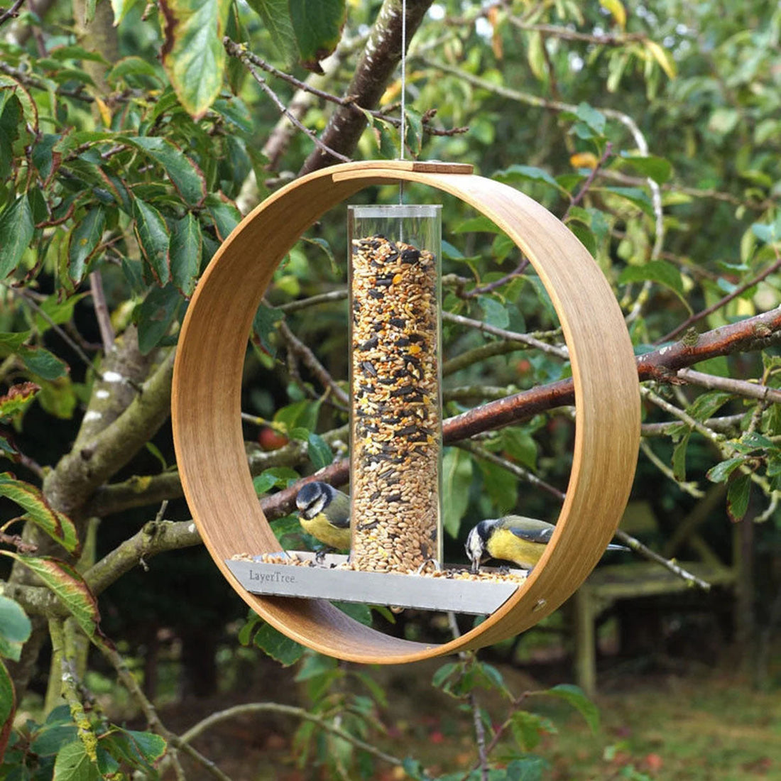 Enhance Your Outdoor Space with the Simple Hanging Bird Feeder