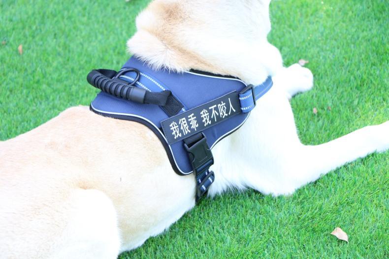 Transform Your Walks with the Chest Strap Vest Type Medium and Large Dog Leash