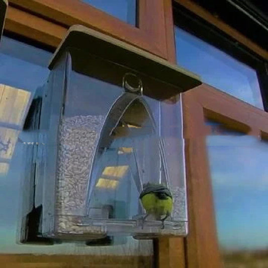 Transform Your Garden with the Gardening Acrylic Double-channel Feeder