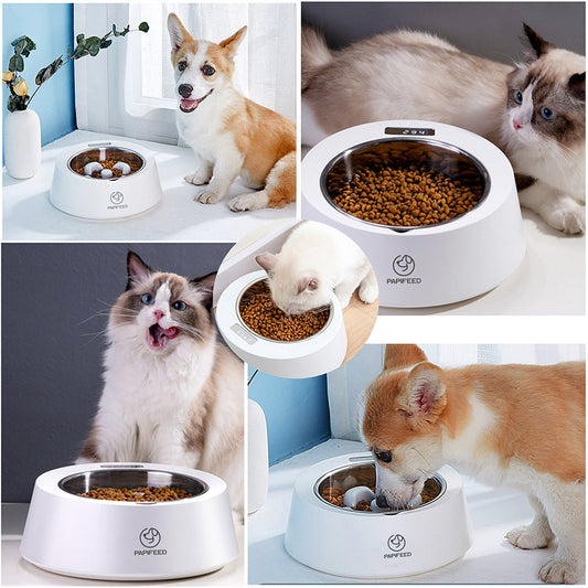 The Ultimate Solution for Your Dog's Mealtime