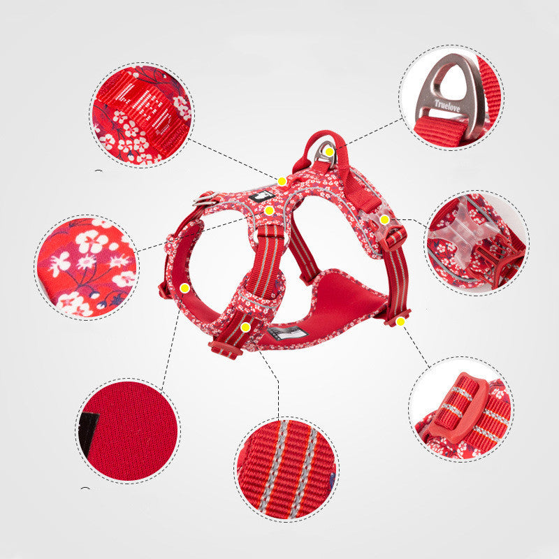 Elevate Your Dog Walking Experience with Our Stylish Leash and Harness Set