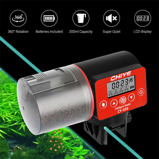 Transform Your Fish Care Routine