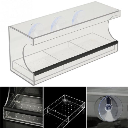 Enhance Your Backyard with the New Acrylic Feeder