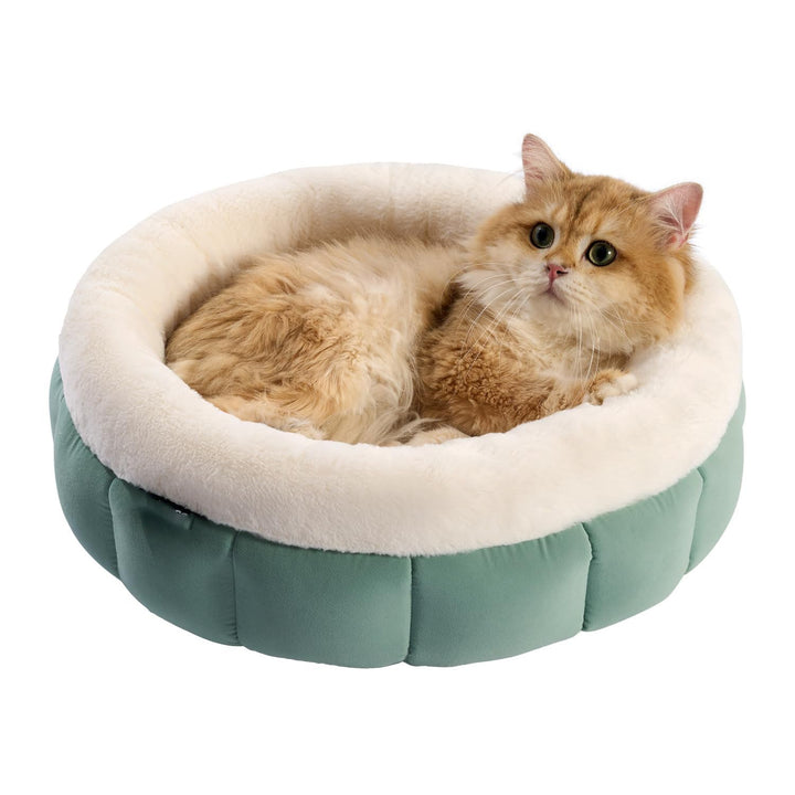 The Ultimate Comfort for Your Small Dog: Donut Bed