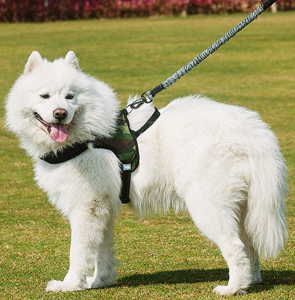 The Ultimate Solution for Dog Walking: Chest Harness Dog Leash