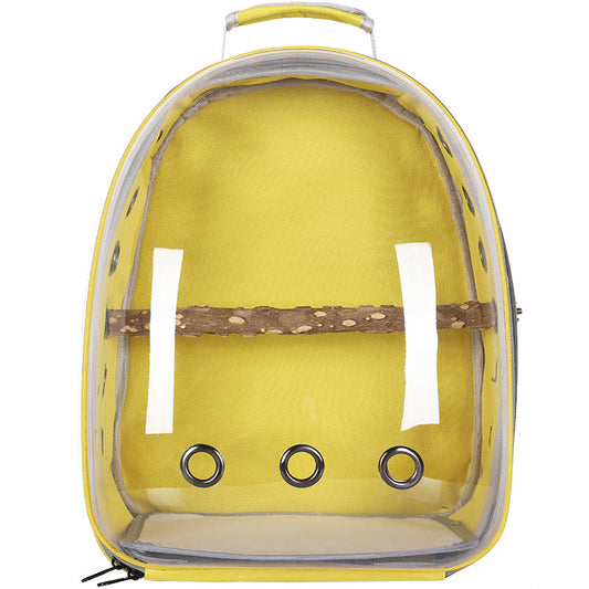 Experience Outdoor Adventures with Your Feathered Friend