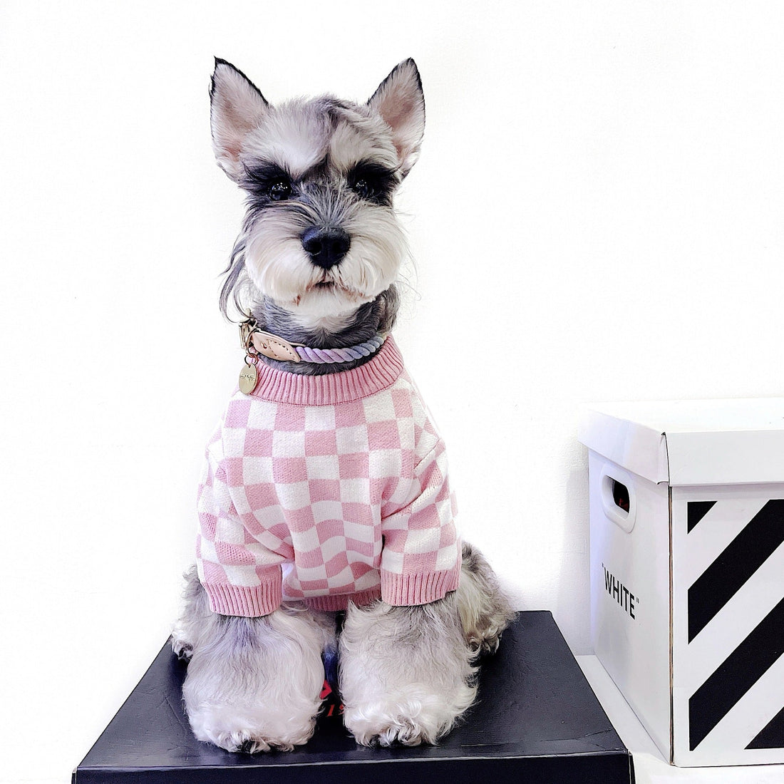 Stylish Comfort for Your Furry Friend