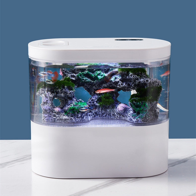 Transform Your Space with Our Water Household Fish Tank