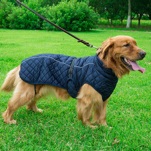 Keep Your Pet Cozy with the Adjustable Warm Pet Cotton Jacket