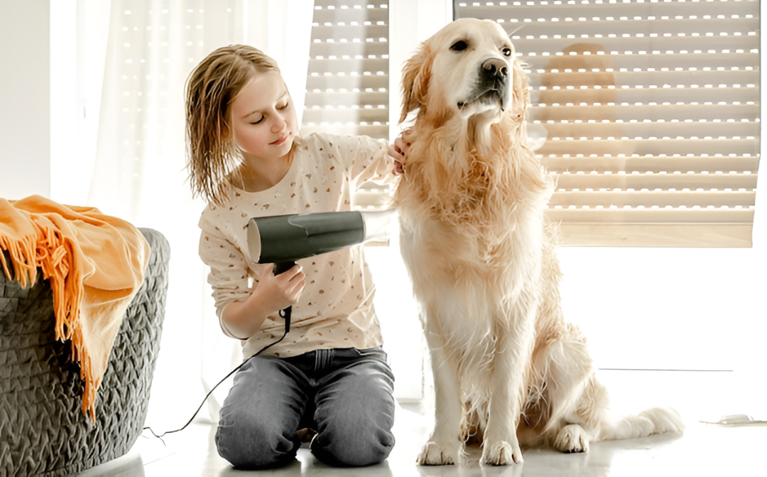 The Importance of Pet Grooming and Comfort