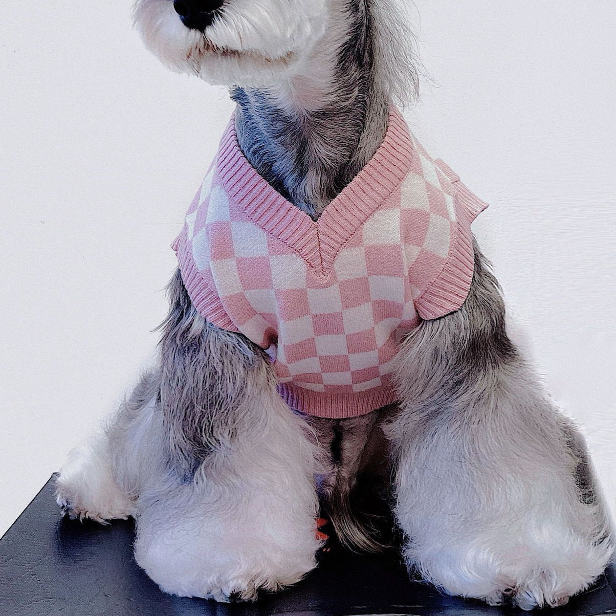 Why Your Pet Needs the Pet Girly Cute Checkerboard Vest Sweater