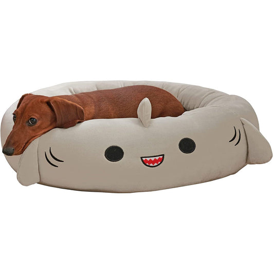 Discover the Comfort Your Pet Deserves