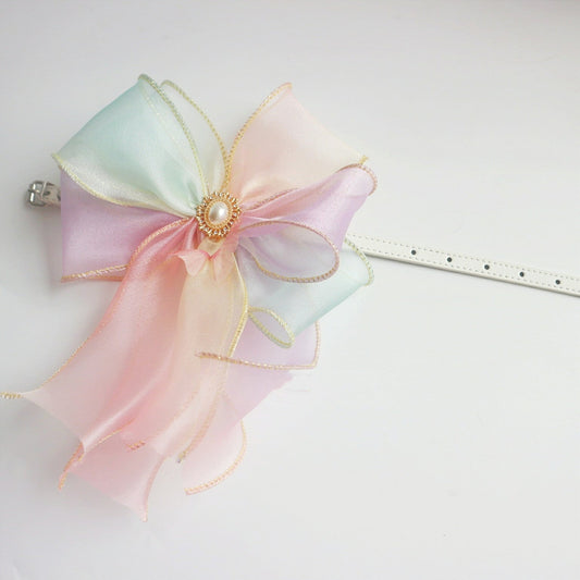 Transform Walks with the Butterfly Flying Pet Leash