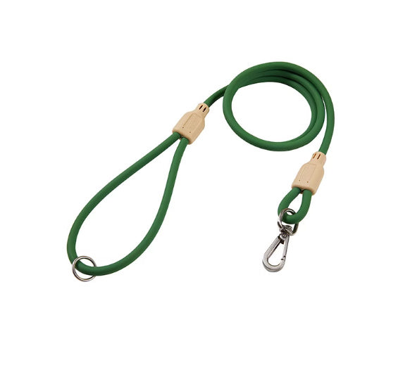 Dog Outing Hand Holding Rope