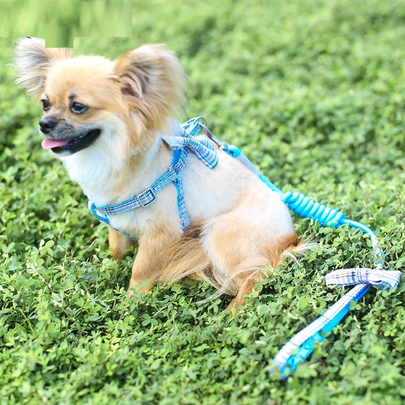 Small And Medium-sized Pet Leash
