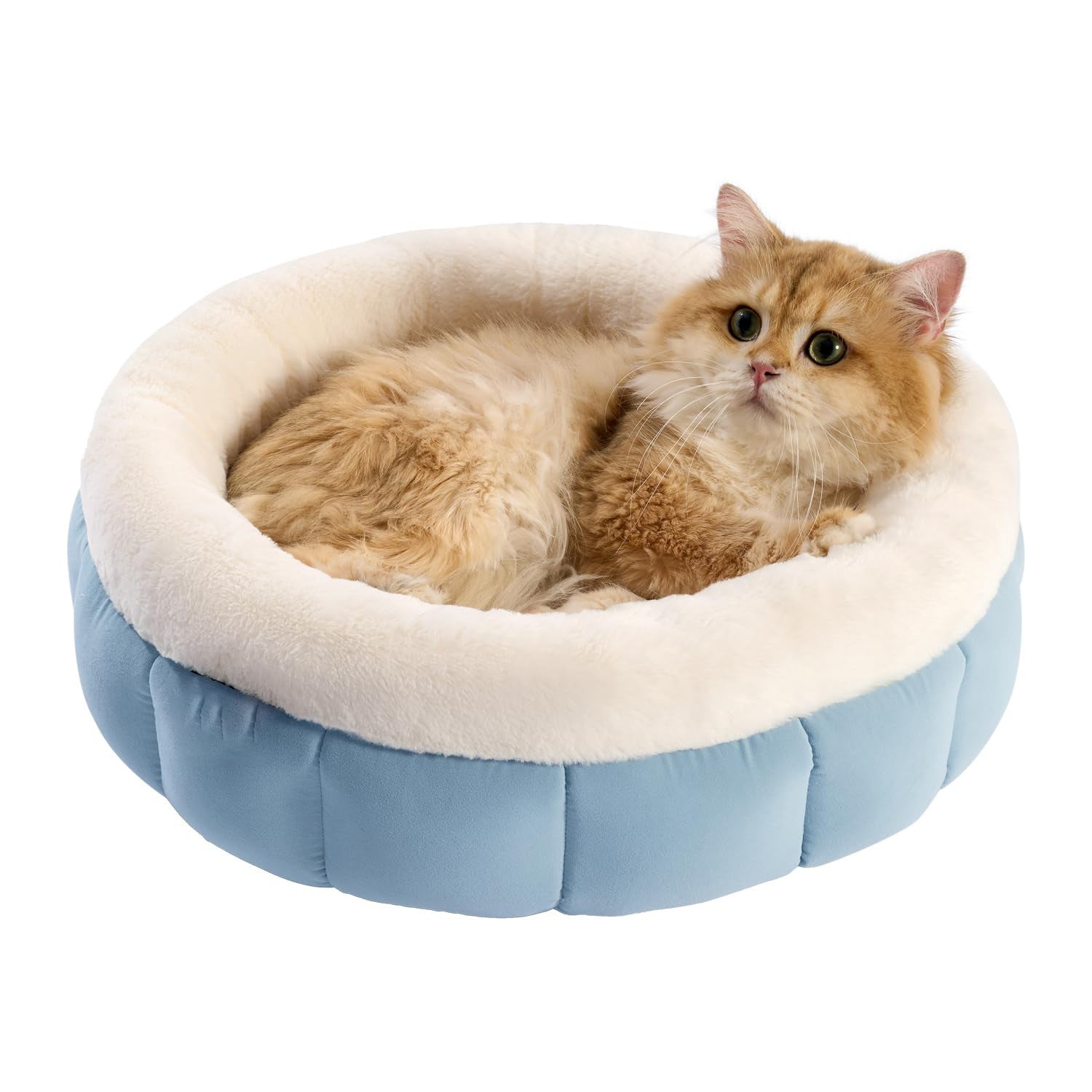 Donut Bed For Small Dogs