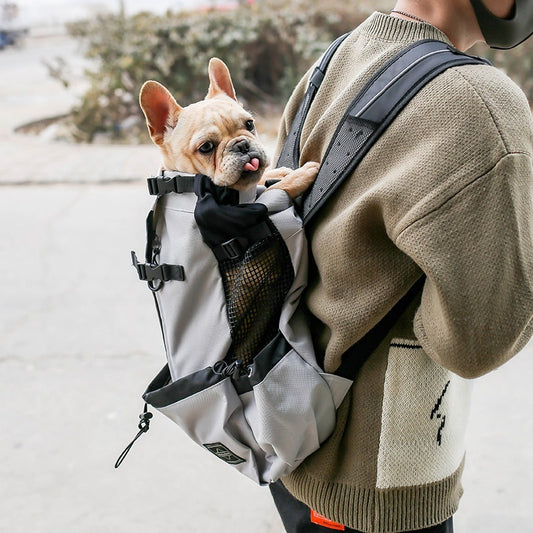Pet Dog Carrier