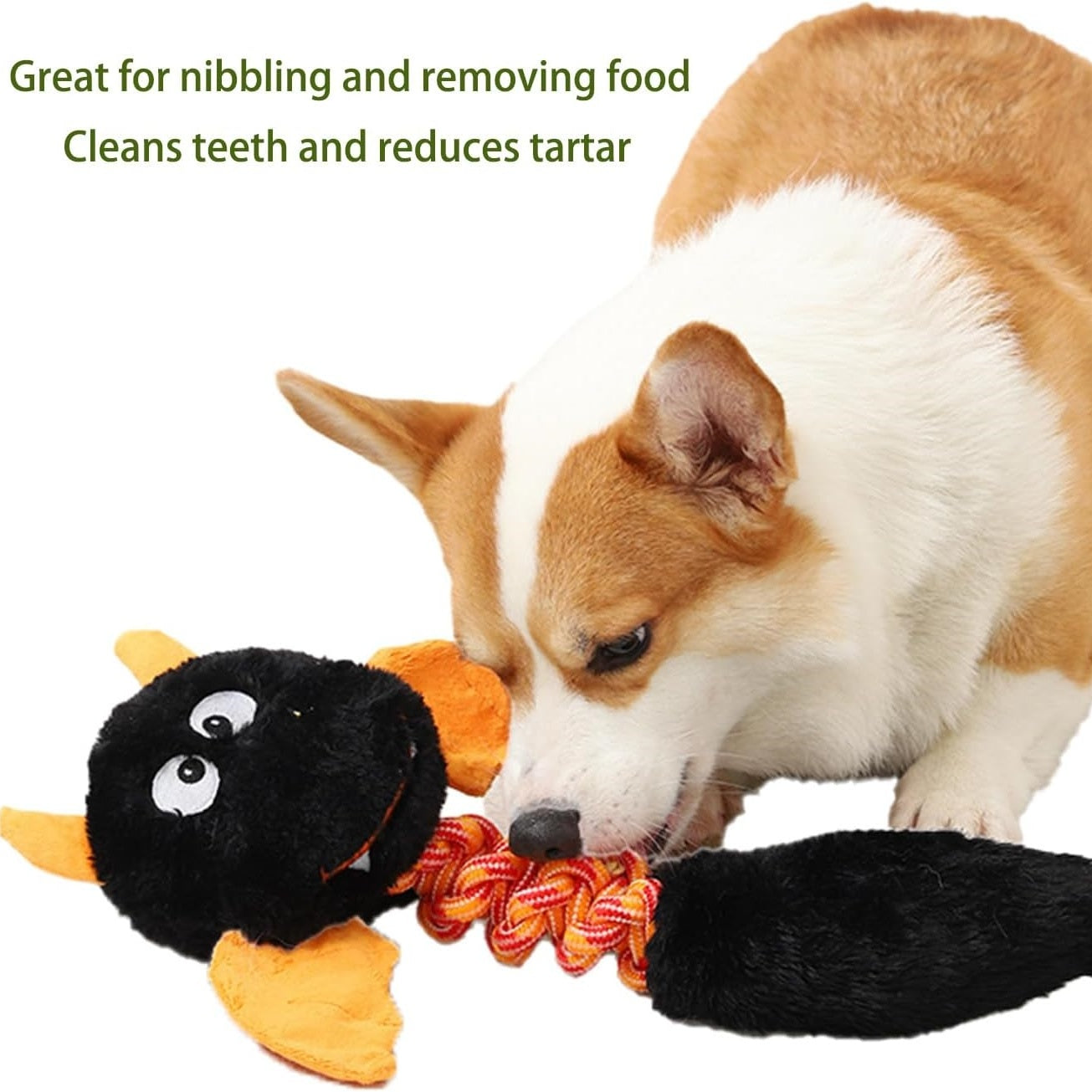 Plush Dog Toys Squeaky Dog Toys