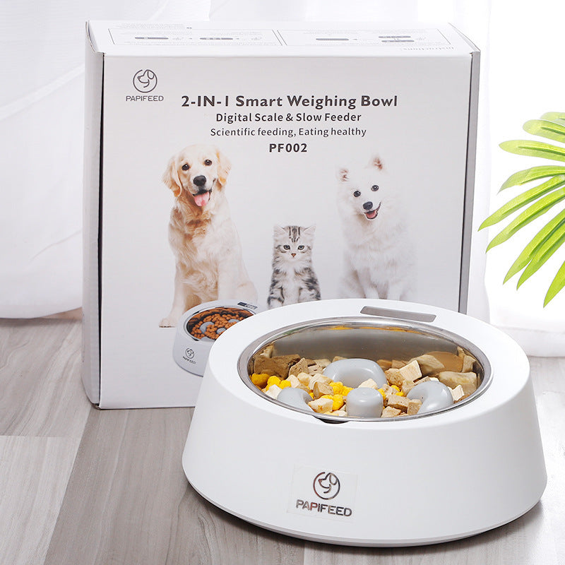 Pet Dog Bowl Slow Feeder Dog Food Bowl