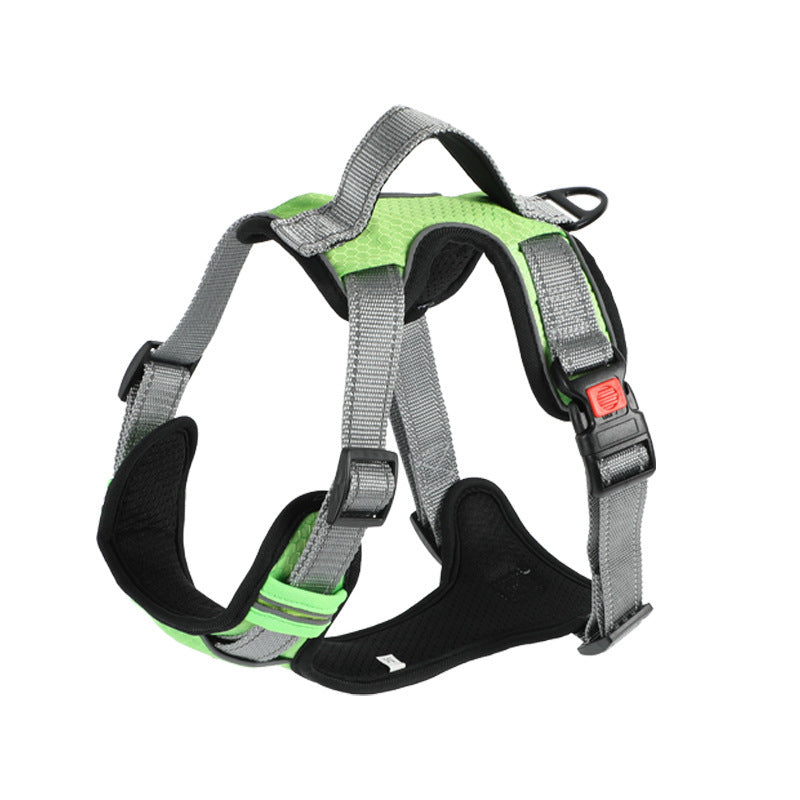 Dog Hand Holding Rope Vest Dog