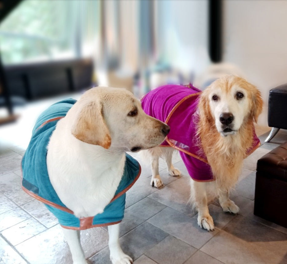 Pet Quick-Drying Absorbent Clothes Towel