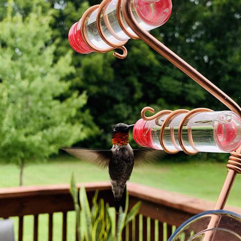 Garden Bird Feeder Supplies
