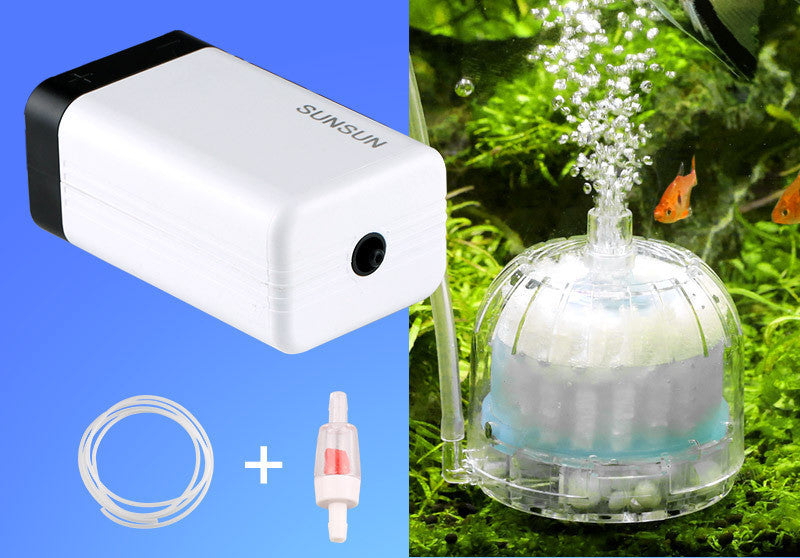 Aquarium Oxygenation Aquarium Oxygenation Pump