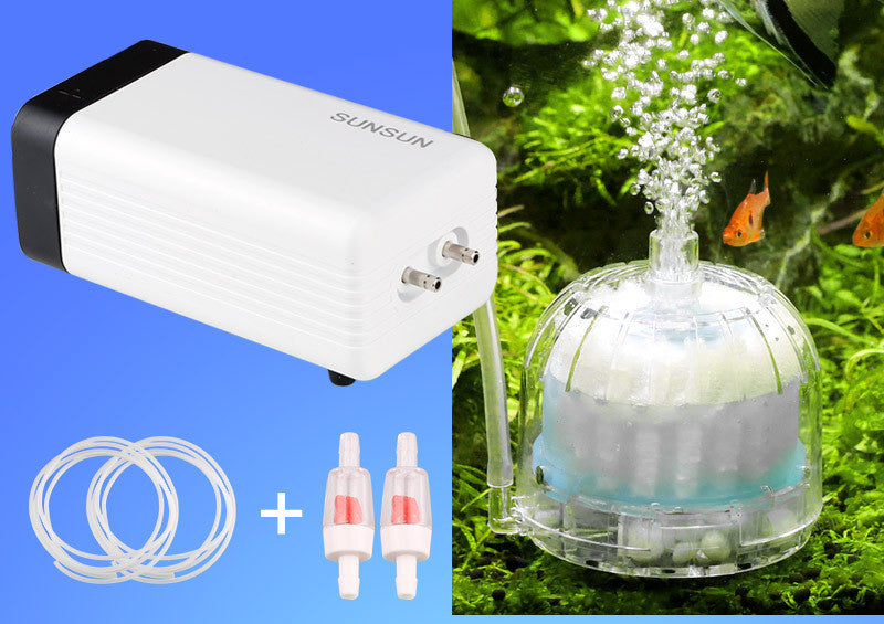 Aquarium Oxygenation Aquarium Oxygenation Pump