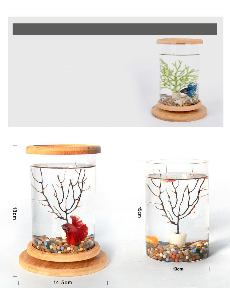 Small Office Glass Aquarium Bamboo Base