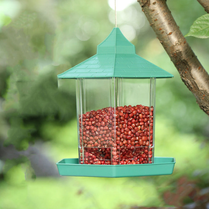 Bird Plastic Feeder
