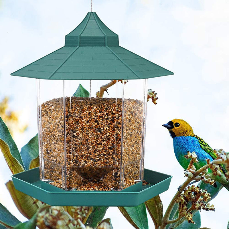 Bird Plastic Feeder