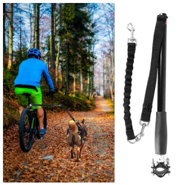 Bicycle Walking Dog Leash Dog Chain