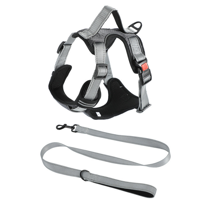 Dog Hand Holding Rope Vest Dog