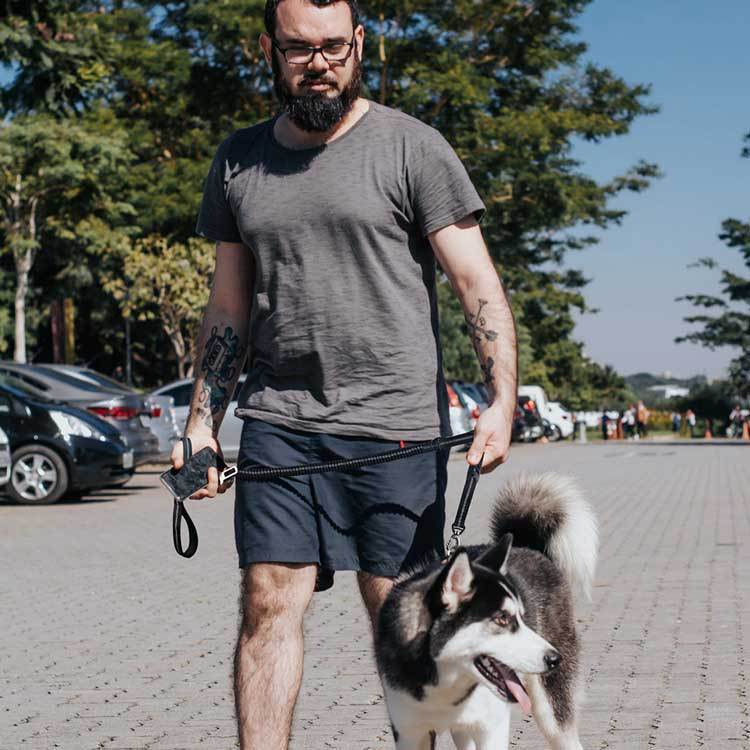 Dog Leash Can Go Out Dog Walking Artifact