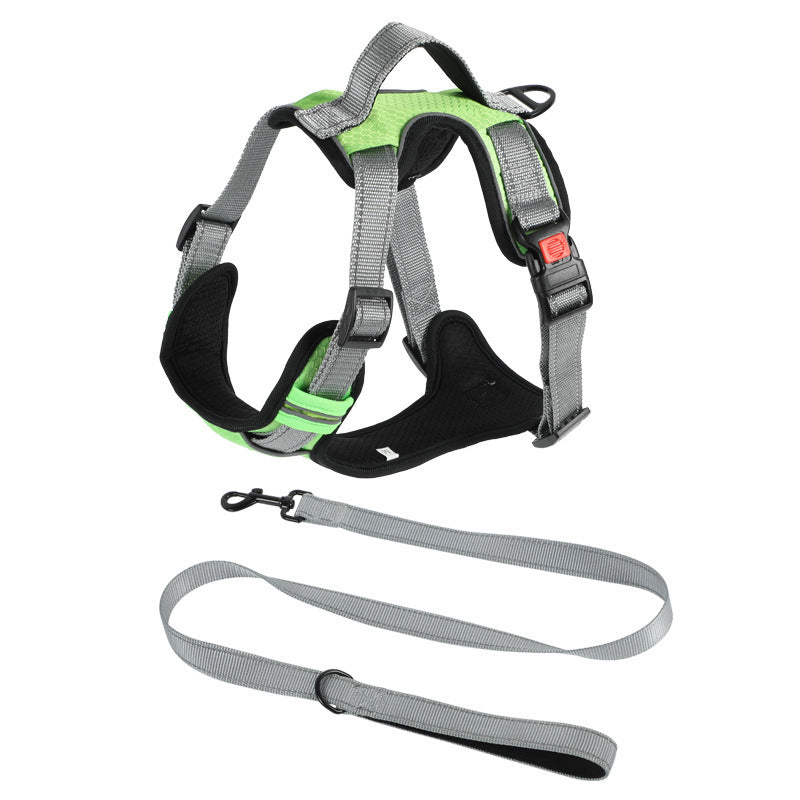 Dog Hand Holding Rope Vest Dog