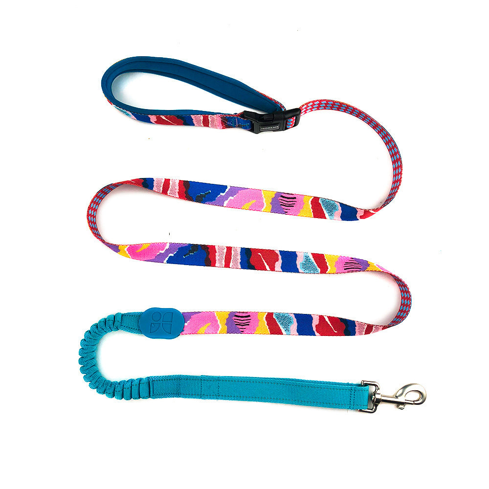 Multifunctional Buffer Traction Pet Leash