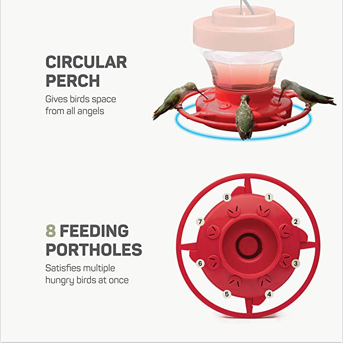 Bird Water Drinker Feeder Waterer