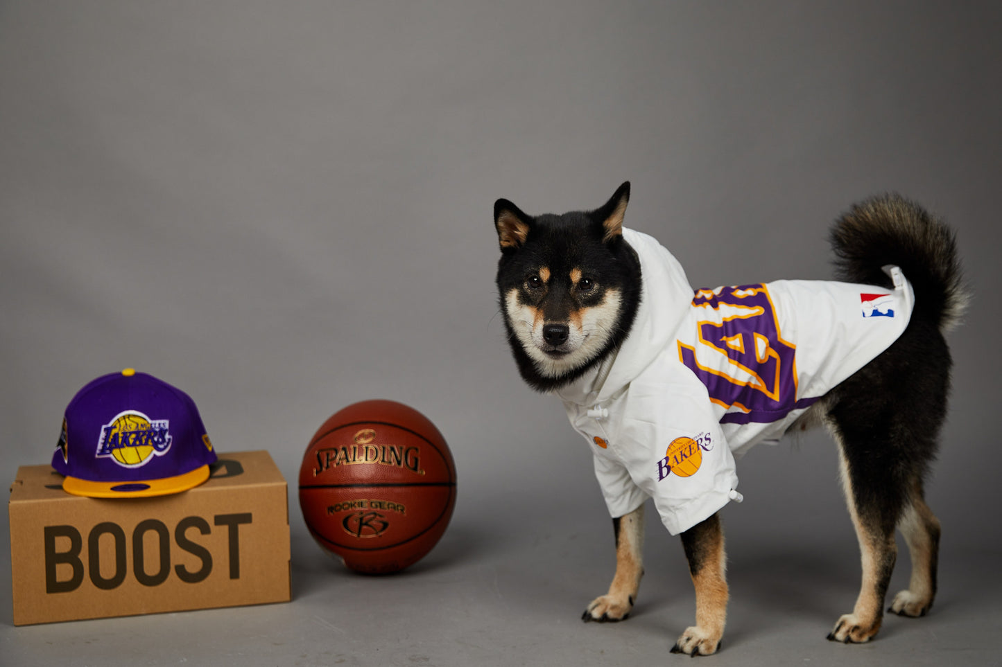 Polyester Pet Shell Jacket
