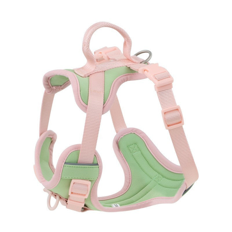 Hand Holding Rope Dog Leash