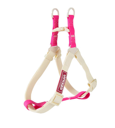 Dog Outing Hand Holding Rope