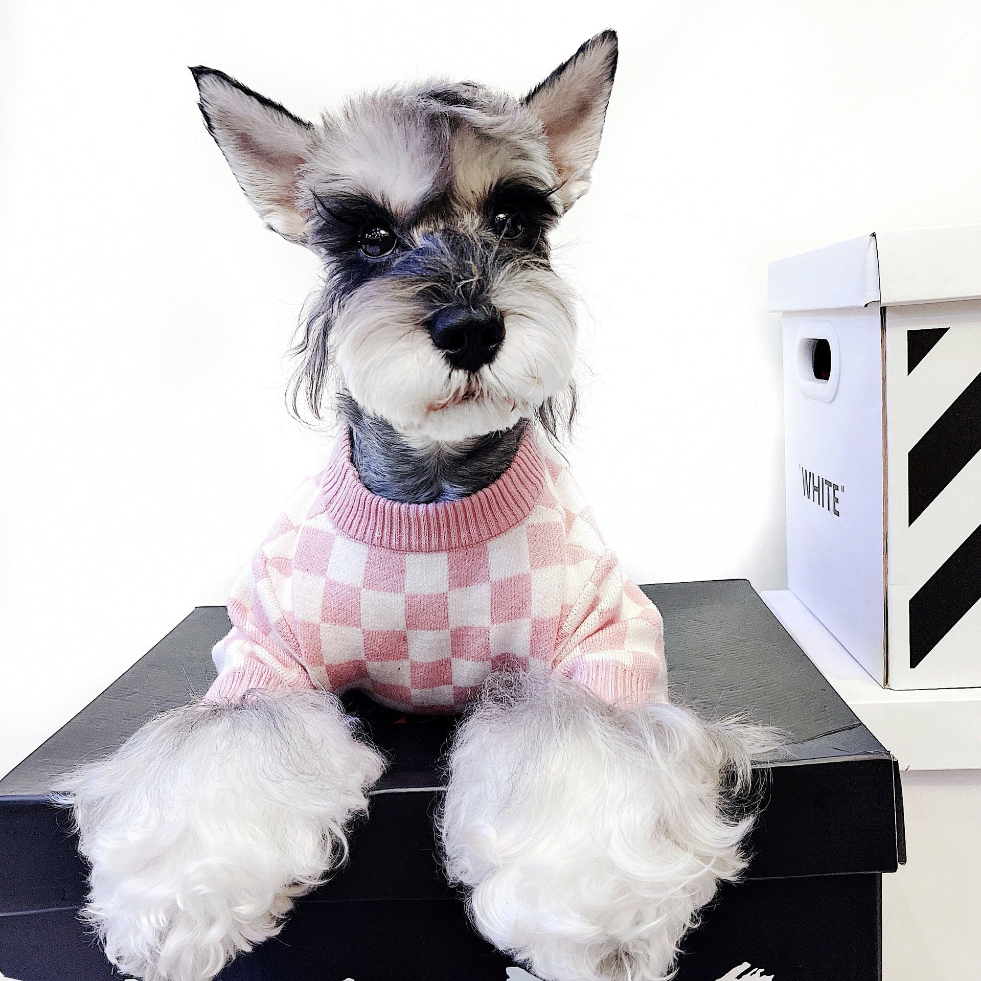 Pet Dog Short Girlish Checkerboard Sweater