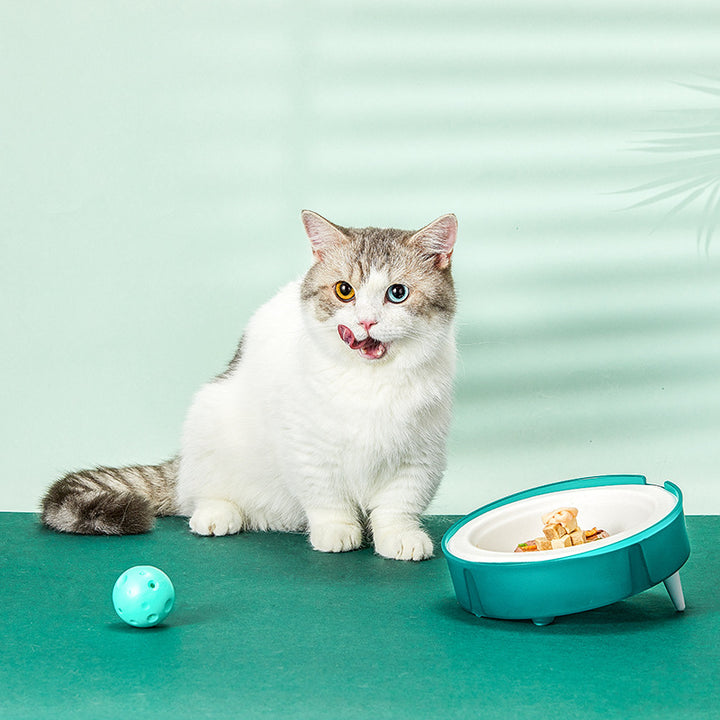 Cat Disposable Food Portable Bowl