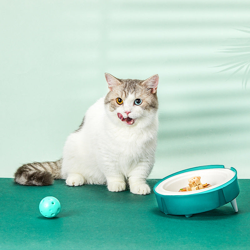 Cat Disposable Food Portable Bowl